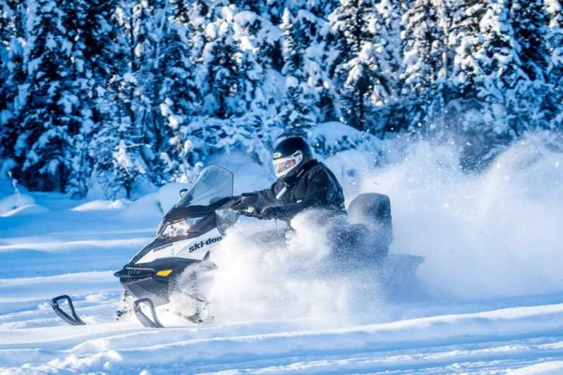 Polo Norte Alaska: Excursión guiada en moto de nieve por Fairbanks