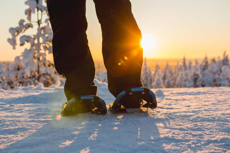 Levi: Excursión panorámica Levi con raquetas de nieve