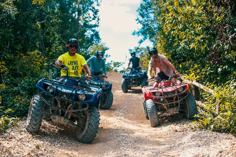 Desde Tulum: paseo en cuatrimoto con santuario de monos y viaje a cenote