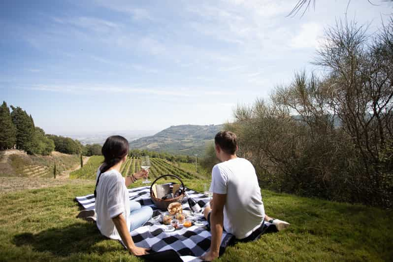 Montalcino: Picnic en el viñedo con una botella de vino