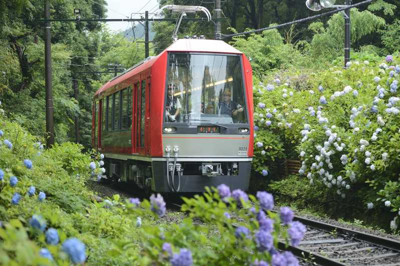 Hakone: Pase de tren con viajes ilimitados y descuentos en actividades