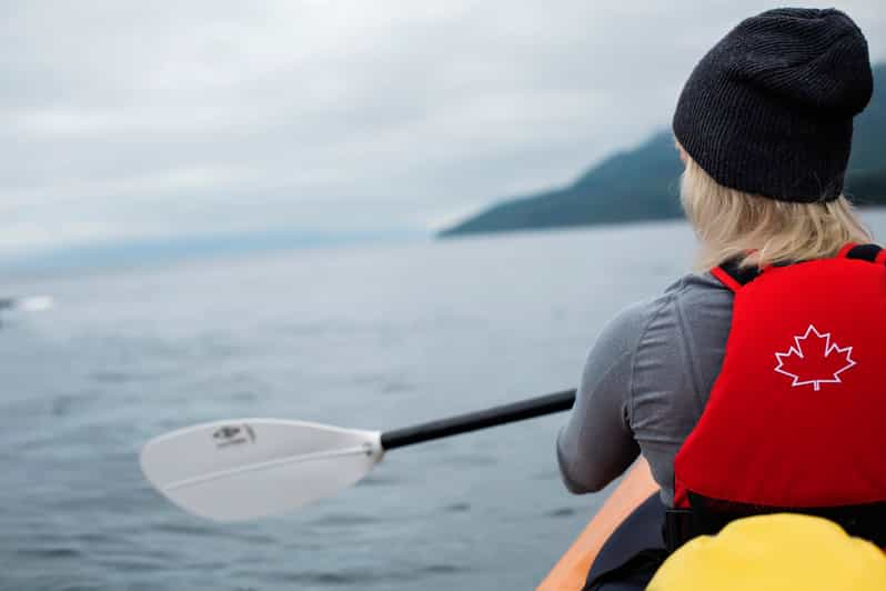 Campbell River: Excursión en kayak y avistamiento de ballenas