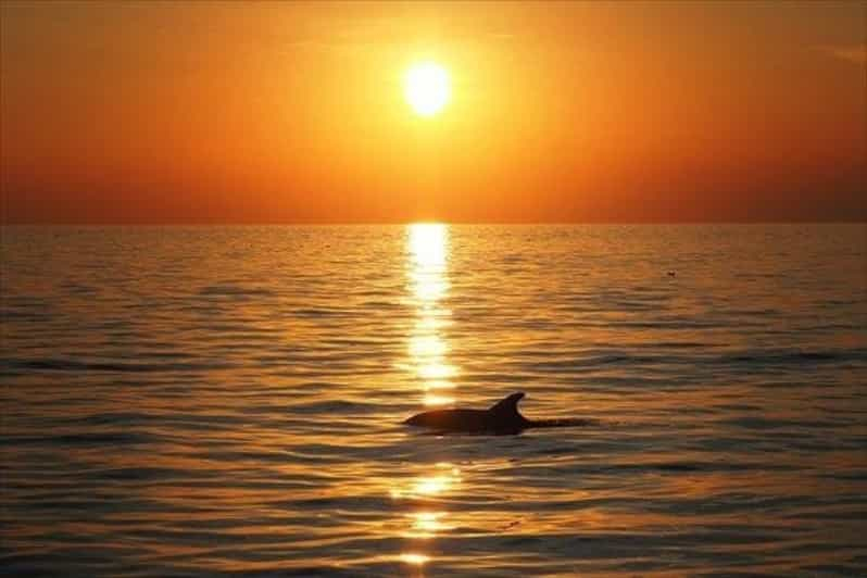 Playa de Ciudad de Panamá: Crucero en catamarán al atardecer