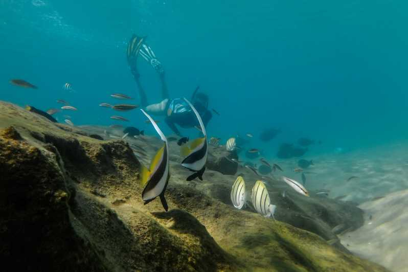 Bahía de Kosi: Aventura de snorkel con bebida caliente