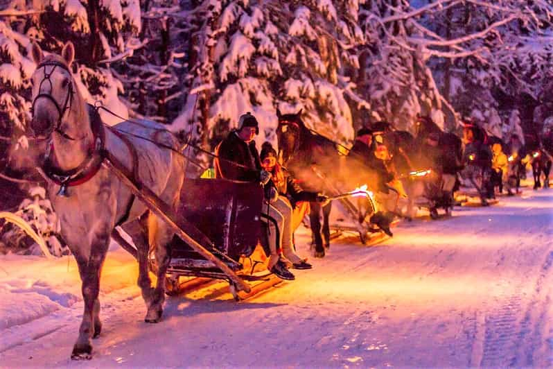 Fram Cracovia; Paseo en trineo por los montes Tatra en Zakopane