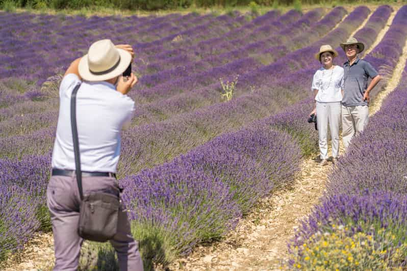 Desde Marsella: Excursión a las Lavandas de Valensole desde el Puerto de Cruceros