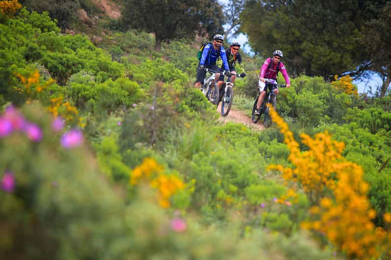 Ramatuelle: Recorrido y degustación por bodegas en bicicleta eléctrica de montaña