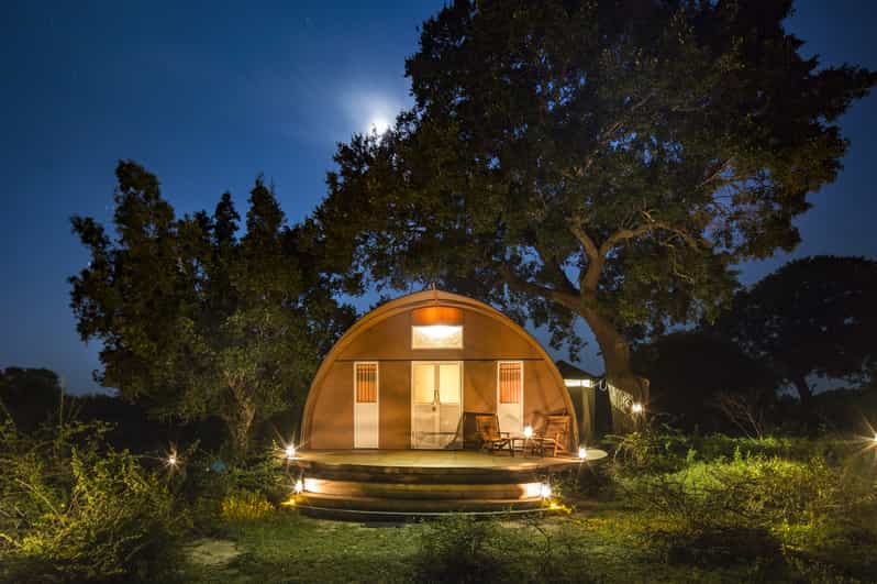 Parque Nacional de Yala: Experiencia Glamping Privada de Lujo de 3 Días