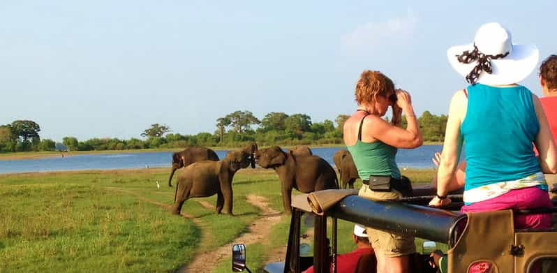 Desde Hikkaduwa Safari por el Parque Nacional de Udawalawe