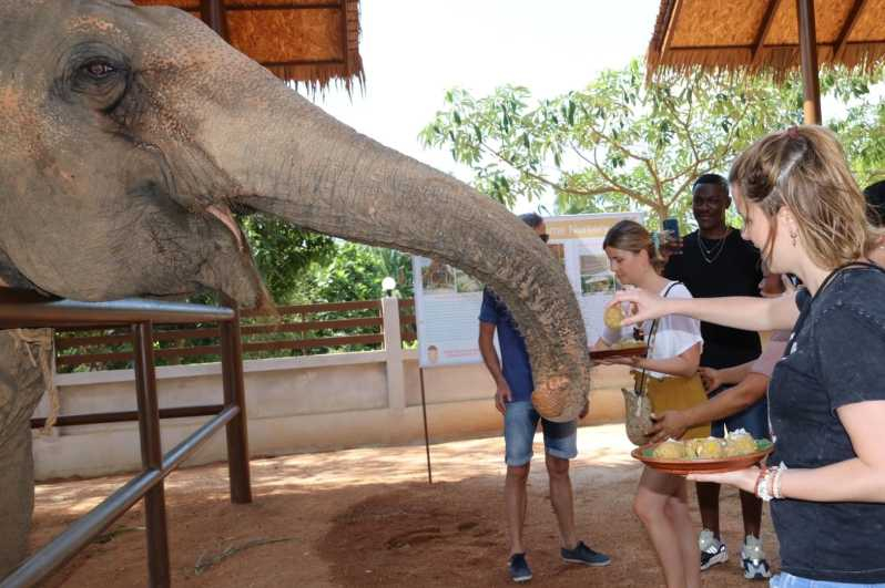 Samui: programa de alimentación en la guardería de Elephant Home
