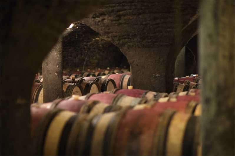 Beaune: Visita guiada a la Bodega Maison Champy con degustación de vinos