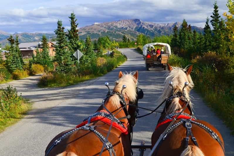 Denali: recorrido en carreta cubierta tirada por caballos con comida