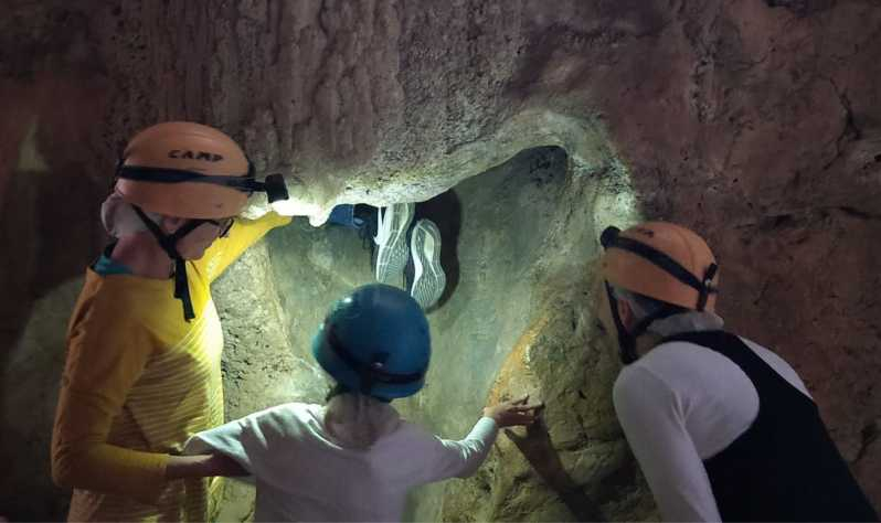 Queensland: tour explorador de las cuevas de Capricornio de 90 minutos