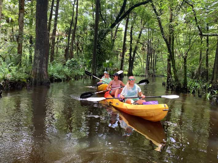 Júpiter: recorrido panorámico en kayak por el río Loxahatchee