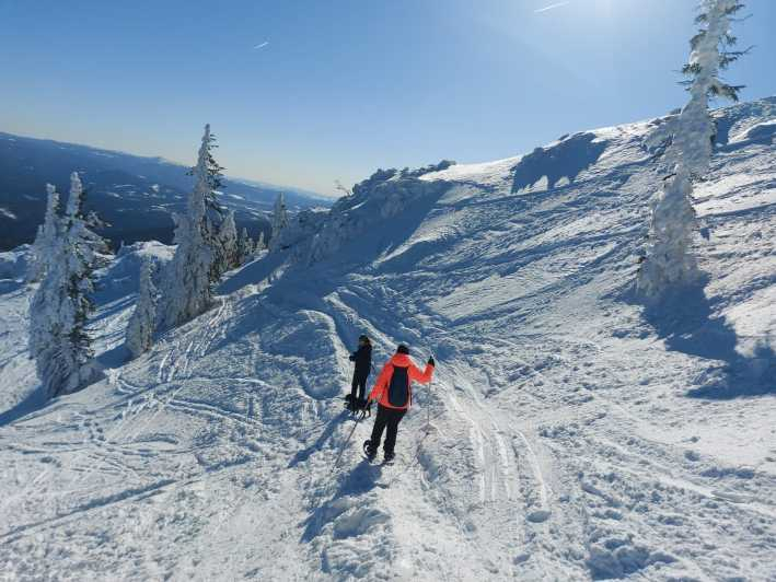 Monte Arber: Excursión guiada con raquetas de nieve por el bosque bávaro