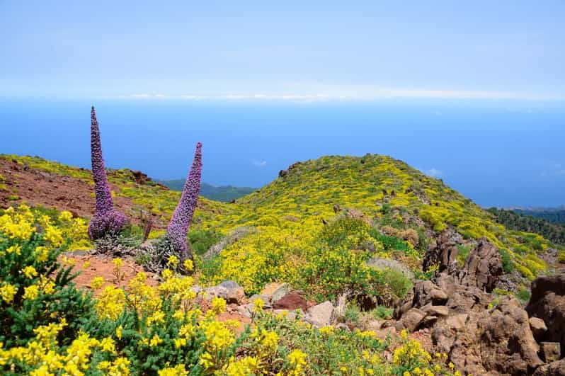 La Palma: caminata guiada al Roque de los Muchachos