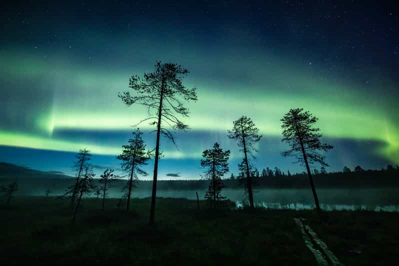 Rovaniemi: Caza de auroras boreales otoñales en coche