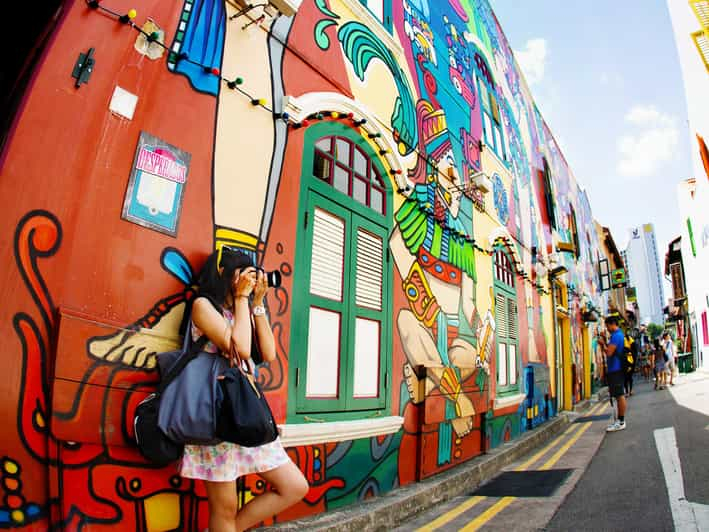 Singapur: visita guiada a pie por Chinatown y Little India