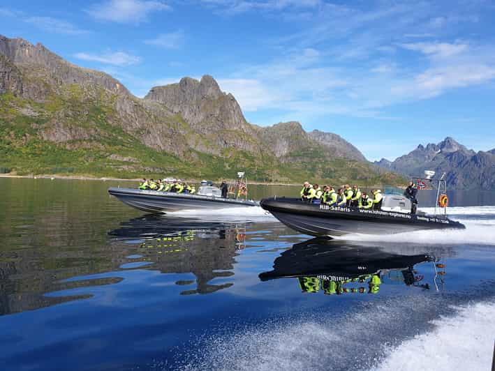 Desde Svolvaer: Crucero en semirrígida por la vida salvaje de Trollfjorden