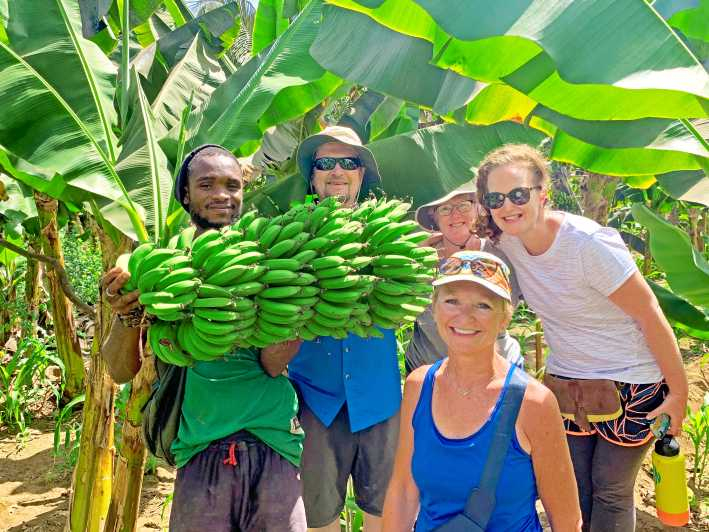 Desde Praia: Excursión a la Plantación de Plátanos y Taller de Cuscuz