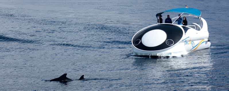 Desde Tazacorte: Vuelta rápida en yate a La Palma