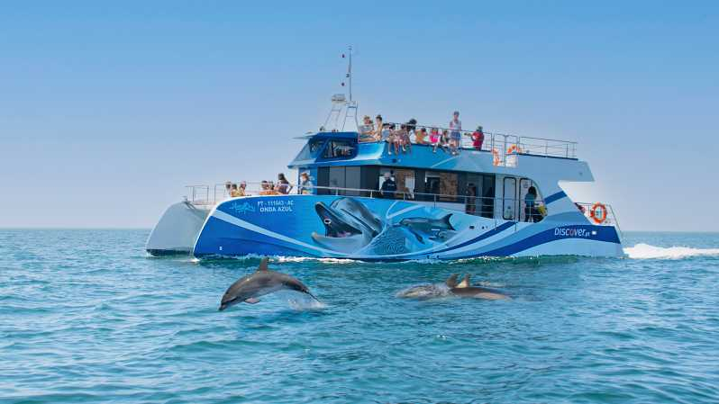 Lagos: crucero de medio con delfines y actividades acuáticas