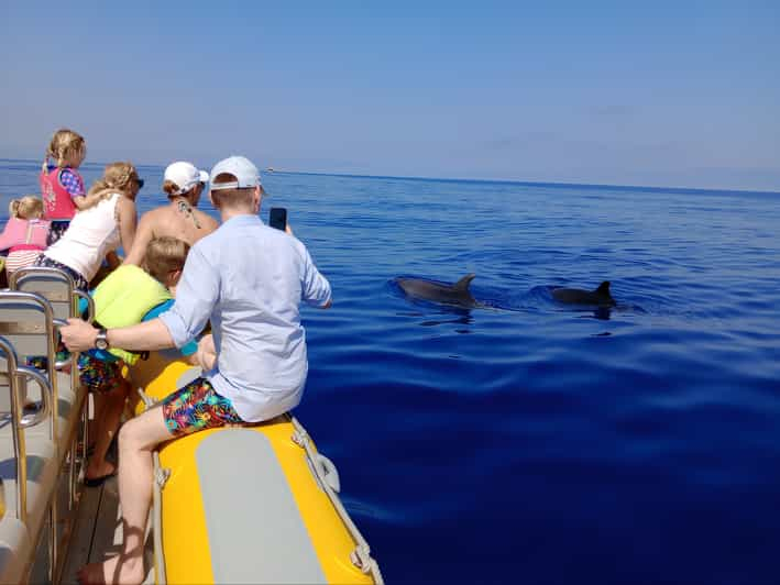 Can Picafort: Tour en barco para avistar delfines nadando