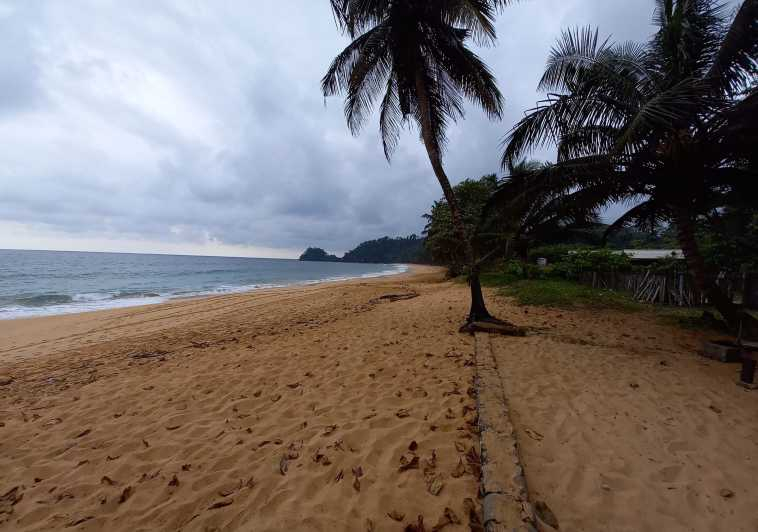 Santo Tomé: tour por la costa sur con almuerzo y traslado