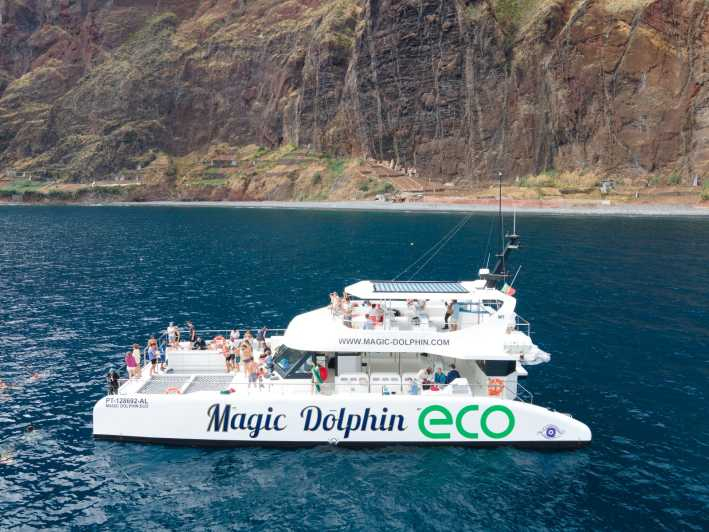 Desde Funchal: crucero en catamarán de avistamiento de delfines y ballenas