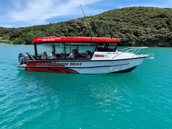 Paihia: Tour en barco con fondo de cristal al Agujero en la Roca