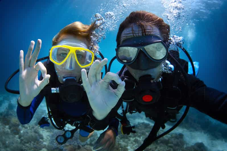 Desde Muğla Medio Día de Buceo en Oludeniz