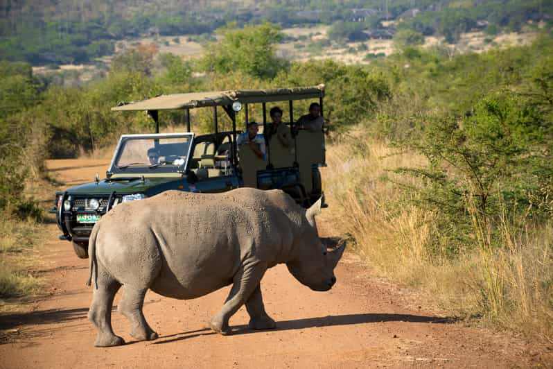 Desde Johannesburgo Safari de caza en la Reserva Natural de Pilanesberg