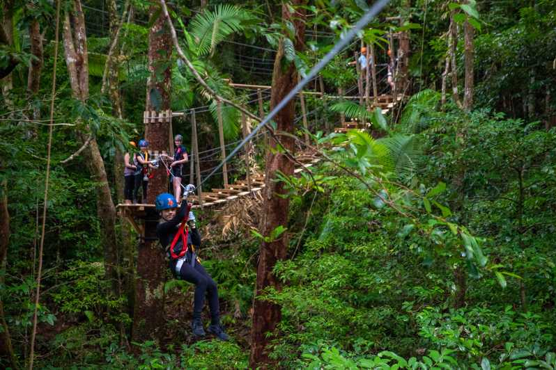 Cairns Excursión en tirolina por la selva tropical de Daintree