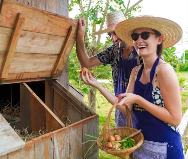 Chiang Mai: Clase de auténtica cocina tailandesa y visita a una granja