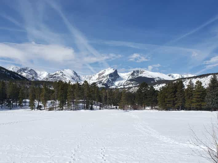 Desde Denver: Excursión de otoño/invierno por el Parque Nacional de las Montañas Rocosas