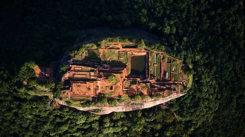 Desde Colombo: Excursión de un día a Sigiriya y Dambulla y Safari