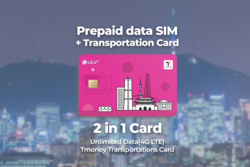 Aeropuerto de Incheon: Traveler SIM y Tarjeta de Transporte T-money