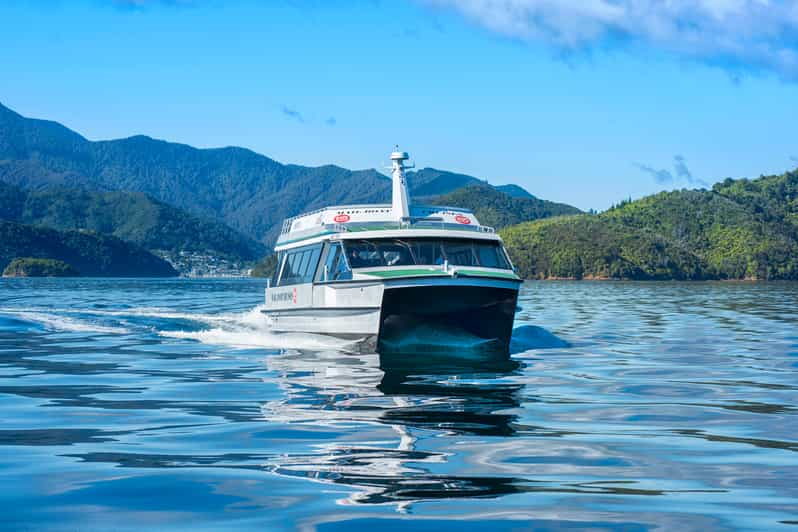 Picton Crucero turístico por Queen Charlotte Sounds