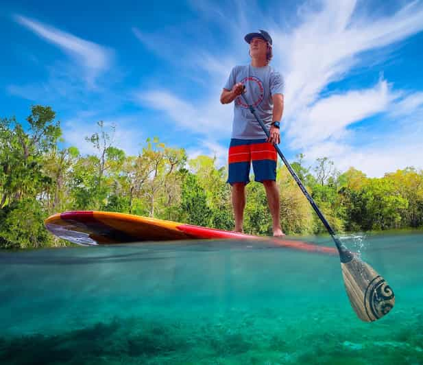 Águila pescadora: Excursión guiada en SUP o Kayak por Delfines y Manatíes