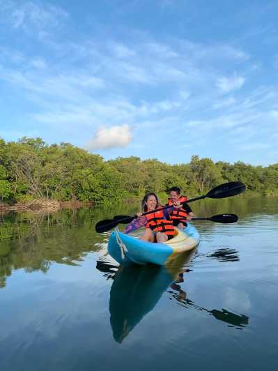 Excursión en kayak por los manglares de Holbox