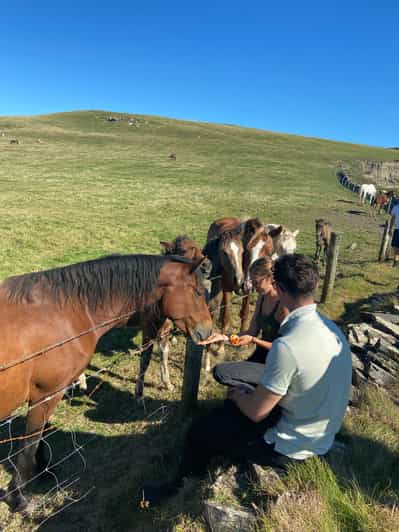 Desde Doolin: Paseo guiado por la costa de los Acantilados de Moher