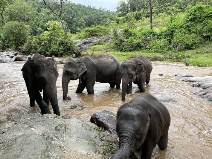 Chiang Mai: Excursión a Doi Inthanon y Santuario de Elefantes