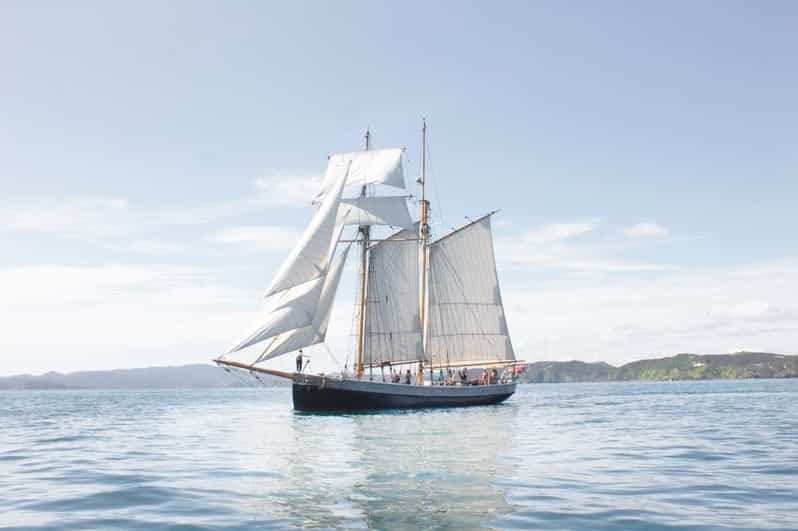 Bahía de las Islas: Excursión de un día en velero de gran eslora