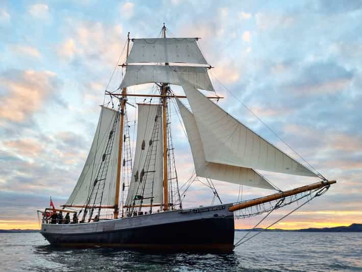 Bahía de las Islas: Crucero en velero a última hora de la tarde