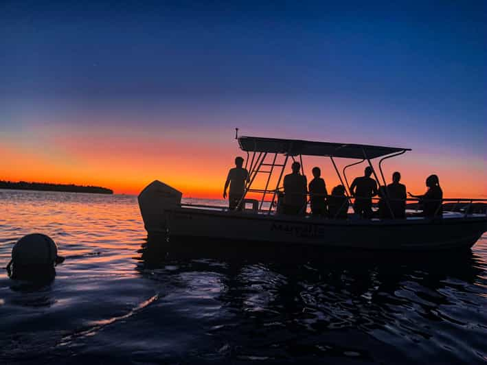 La Parguera: Crucero nocturno y al atardecer por el Biobay