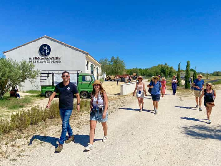 Excursión al Campo de Lavanda y la Destilería entre Nimes y Arles