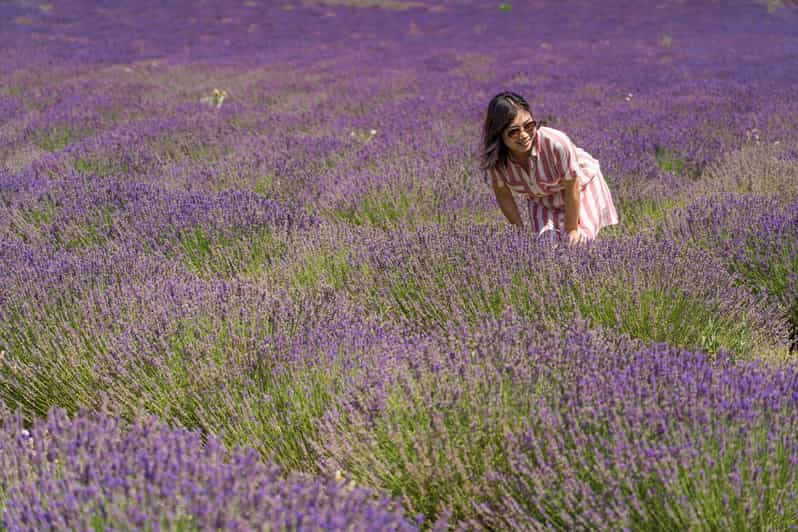 Desde Marsella Lavanda Día Completo Valensole