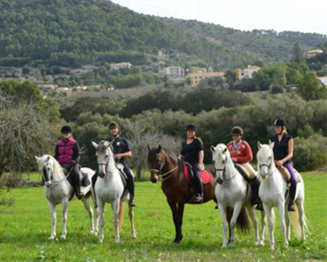 Mallorca: Excursión guiada a caballo por el Valle de Randa