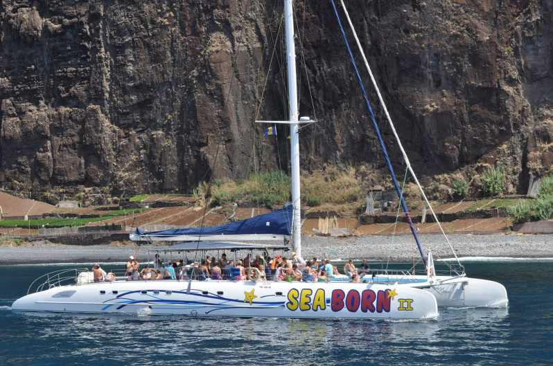 Funchal: Crucero en catamarán para avistamiento de delfines y ballenas