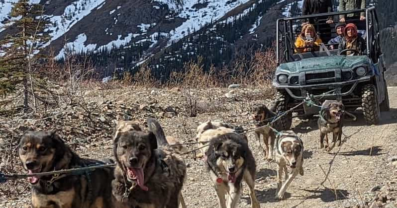 Desde Skagway Mushing con Perros de Trineo del Yukón y Combo Paso Blanco